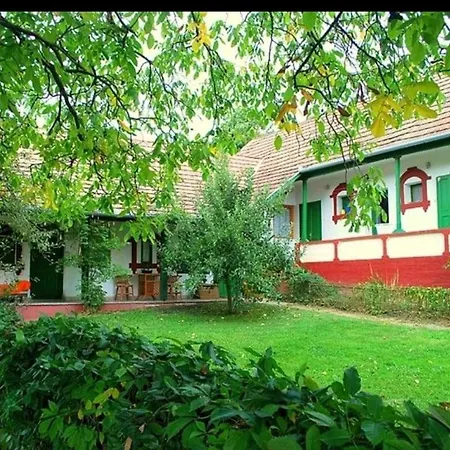 Forest, Silene And Stars * Boldogasszonyfa