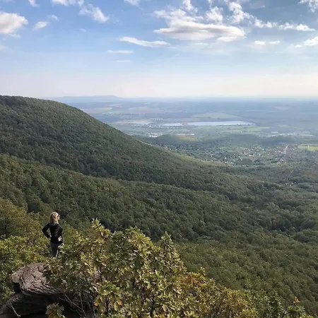 빌라 Forest, Silene And Stars Boldogasszonyfa