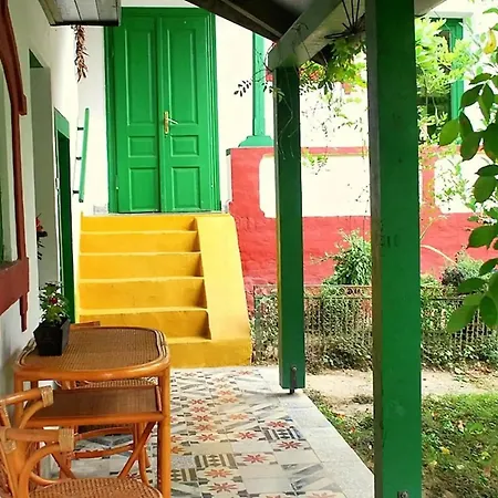 Forest, Silene And Stars * Boldogasszonyfa