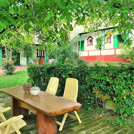 Forest, Silene And Stars Boldogasszonyfa