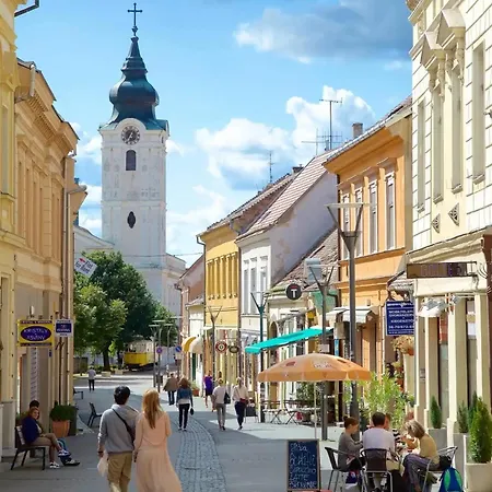 빌라 Forest, Silene And Stars