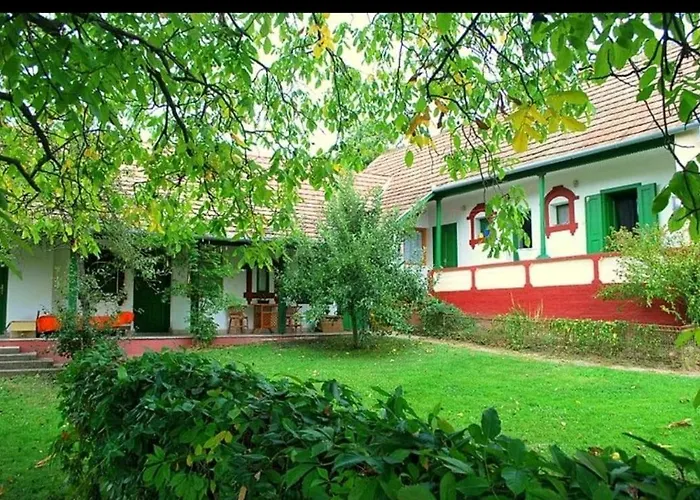 Forest, Silene And Stars * Boldogasszonyfa