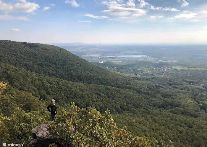 빌라 Forest, Silene And Stars Boldogasszonyfa