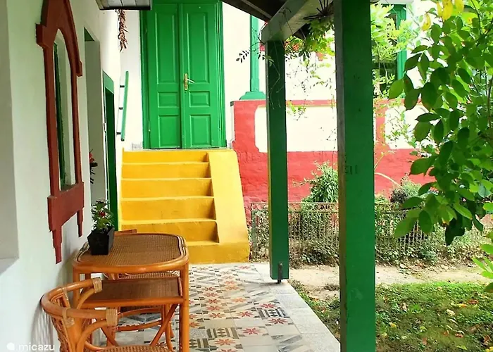 Forest, Silene And Stars * Boldogasszonyfa