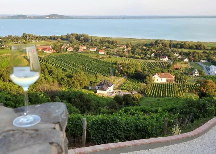 Forest, Silene And Stars 빌라 *