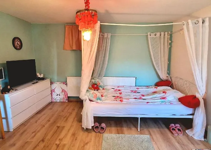 Forest, Silene And Stars * Boldogasszonyfa